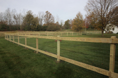 Garden-Wood-Fence-w-Wire-Mesh