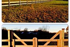 Board Horse Farm Fence